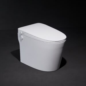 SANITARIO JÚPITER FLUSH