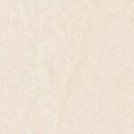 MoonIvory_thumbail